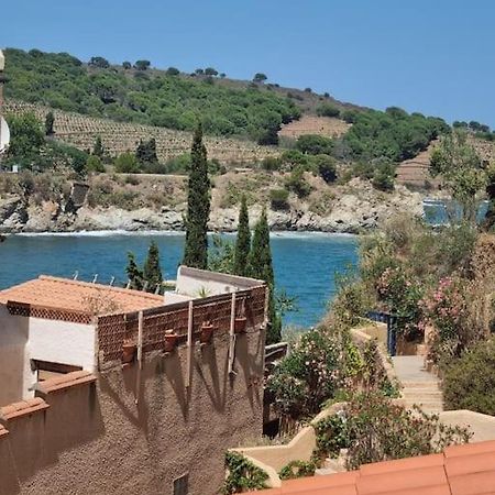 Studio Acces Direct A La Plage Banyuls-sur-Mer Buitenkant foto